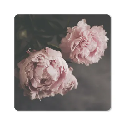 Produktbild von MuchoWow® Mauspad Mousepad Blumen - Rosa - Pfingstrose - Stilleben 20x20 cm - Mousepads - Maus Mat - Pad - Mausunterlage - Desk Mat - Bureauartikeln