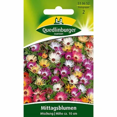 Zdjęcie produktu dla Quedlinburger Saatgut - Mieszanka Mittagsblume - Nasiona - 510652