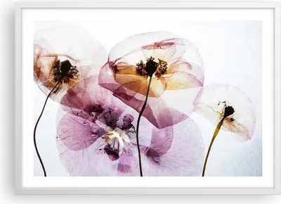 Produktbild von Gerahmtes Poster - Weißer Rahmen - blume sommer natur - 70x50 cm - Wand Bild - Wanddeko - Wandbilder - Kunstposter - Wandposter - Bilderrahmen - Bilder - Kunstdruck - Wandbild - P2WAA70x50-3821