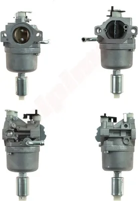 Obrázek produktu pro Vergaser Für Briggs & Stratton ( 591731 , 594593 , 796109 )