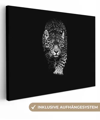 Obrázok produktu pre MuchoWow® - Plátno - Zvieratá - Čierna - Leopard - Biela - Divoká, nástenná maľba, nástenné dekorácie obrazy obývacia izba, 120x90cm