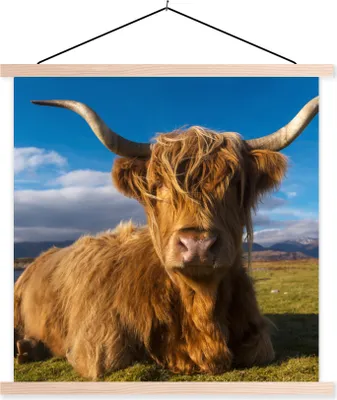 Produktbild von MuchoWow® Textilposter Schottische Hochlandrind - Licht - Natur 120x120 cm mit holzfarbenen Rahmen - Textil-Poster