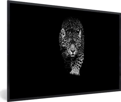 Produktbild von MuchoWow® Gerahmtes Poster Tiere - Schwarz - Leopard - Weiß - Wild 90x60 cm - Poster mit Schwarzem Bilderrahmen Wandposter Rahmen Foto Bilder - Fotorahmen - Foto-Plakat