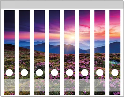 Produktbild von Wallario Ordnerrücken Sticker, selbstklebend für schmale Ordner, 8 Stück, Motiv Blumenbedeckte Wiese bei Sonnenuntergang
