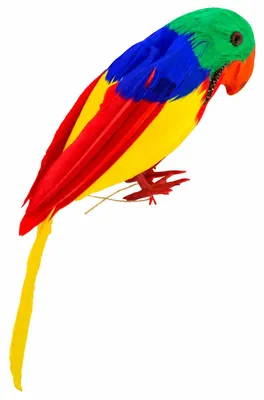 Produktbild von Bunter Schulter Papagei für Piratenparty | 26 cm