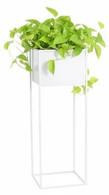 Produktbild von Anwicar Blumenständer Metall Weiß Blumenregal Indoor, 70x24x24 cm