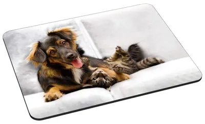 Immagine prodotto di Tappetino per mouse PEDEA Design, dimensioni 22 x 18 cm, con motivo di gatti e cani