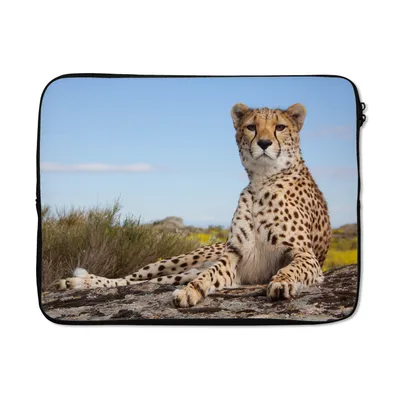Produktbild von MuchoWow® Laptop Hülle 17 Zoll Laptoptasche Leopard - Tiere - Natur - Zipper - Schutzabdeckung