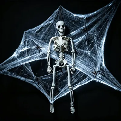 Halloween-Skelett Lebensgröße mit Spinnennetz und Spinnen