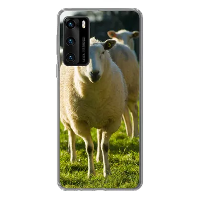 Produktbild von MuchoWow® Handyhülle Schutzhülle Hülle für Huawei P40 Schafe - Tiere - Wolle Silikon Softcase Handy Hülle - Handytasche