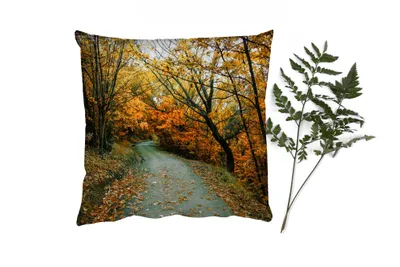 Produktbild von MuchoWow® Zierkissen Sofakissen Wohnzimmer Dekokissen 50x50 cm Blätter - Herbst - Wald - Komfort - Sofakissen