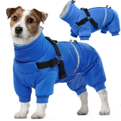 Hundejacke XL, wasserdicht, warm, Fleece, Reißverschluss, reflektierend, blau