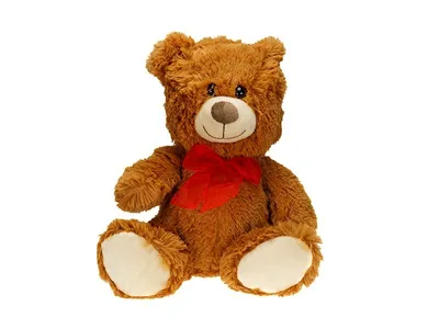 Obrázok produktu pre Teddy Pets Teddybär Maskottchen, braun, 28 cm