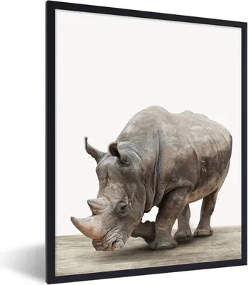 Produktbild von MuchoWow® Gerahmtes Poster Nashorn - Jungen - Wildtiere - Kinder - Mädchen - Tiere 60x80 cm - Poster mit Schwarzem Bilderrahmen Wandposter Rahmen Foto Bilder - Premium - Wanddeko Wohnzimmer
