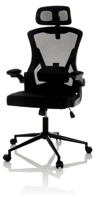 Produktbild von Ergonomischer Drehstuhl ARIGANO mit atmungsaktiver Rückenlehne und klappbaren Armlehnen, Schwarz