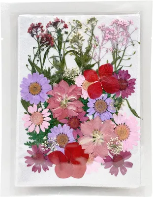 Imagen del producto de Flores secas y prensadas, 35 unidades, color rosa, para proyectos de manualidades