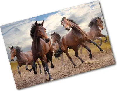 Produktbild von Tulup Glas Herdabdeckplatte - 80x52 cm - Glaskeramikkochfeld-Abdeckung Spritzschutz Glasabdeckplatte - Einteilig - Tiere - Fünf Pferde - Braun