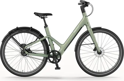 Produktbild von Reany W1 GT-Serie in Sage Green (Comfort-Lenker)
