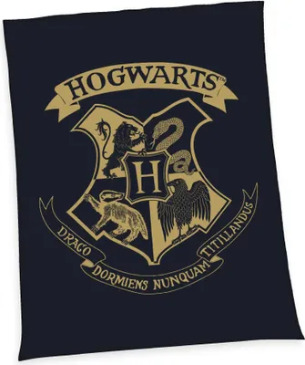 Obrázok produktu pre Fleecová deka Harry Potter Bradavice 150 x 200 cm