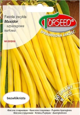 Produktbild von Saatgut Zwergbohne, Maxidor 30g - Torseed