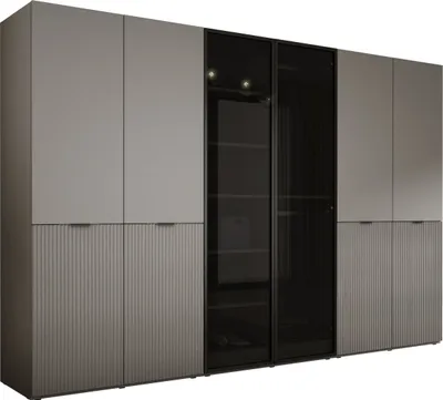 Produktbild von Kleiderschrank, Platingrau, 3 x 100 x 200 x 51 cm