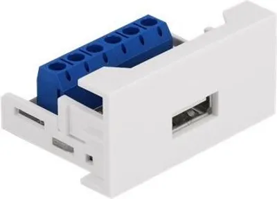 Image de DELOCK Easy 45 Modul USB 2.0 Typ-A Buchse zu Terminalblock