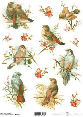 Immagine prodotto di ITD carta di riso decoupage tecnica artigianale tovagliolo di carta-R1069 uccelli