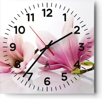 Produktbild von Wanduhr - Quadrat - Glasuhr - Magnolie blume natur pflanze - 40x40cm - Schleichendes Uhrwerk - Lautlos - zum Aufhängen bereit - Dekoration Modern - Wanddekoration aus Glas - C4AC40x40-2641