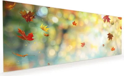 Produktbild von Küchenrückwand Spritzschutz Glas mit Motiv Herbstlaub Wald 40 x 40 cm