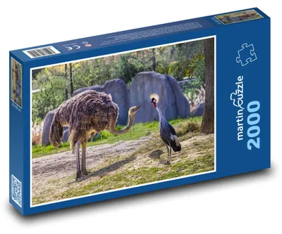 Zdjęcie produktu dla martinpuzzle - Puzzle 2000 - Strus w zoo