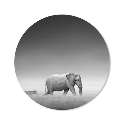 Produktbild von MuchoWow® Mauspad Mousepad Elefant - Tiere - Landschaft - Schwarz und weiß - Zebra 20x20 cm - Mousepads - Maus Mat - Pad - Mausunterlage - Schreibtischmatte