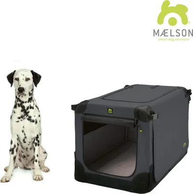 A Dalmatian dog sits next to a gray soft kennel transport box.