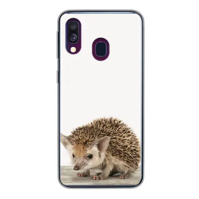 Produktbild von MuchoWow® Handyhülle Schutzhülle Hülle für Samsung Galaxy A40 Igel - Tiere - Jungen - Mädchen Silikon Softcase Handy Hülle - Handy-Tasche