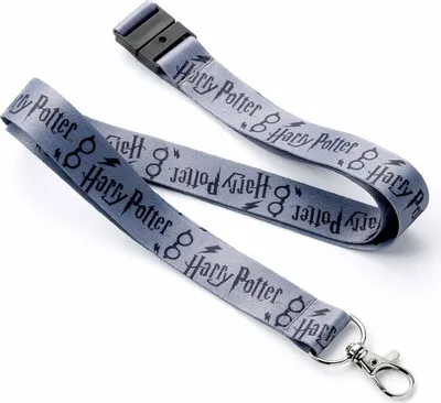 Produktbild von Harry Potter - Schlüsselband TA9512 (Einheitsgröße) (Grau/Schwarz)