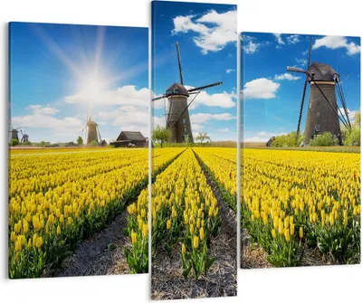 Produktbild von Bild auf Leinwand - Leinwandbild - Tulpen Windmühle Wiese Landschaft - 95x80cm - Wand Bild - Wanddeko - Leinwanddruck - Bilder - Kunstdruck - Leinwand bilder - Wandkunst - CB95x80-2879