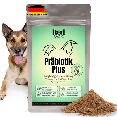 Prebiotikum Plus für Hunde, 500 g Pulver – Ballaststoffe für die Darmflora