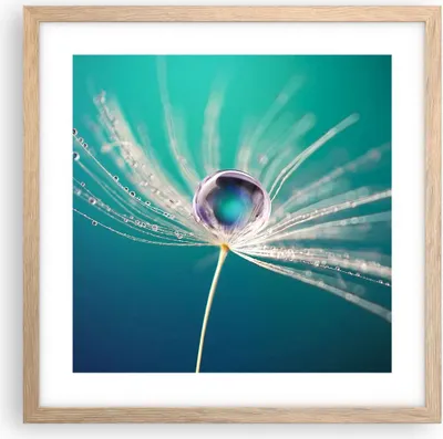 Produktbild von Gerahmtes Poster - Rahmen in heller Eiche - Pflanze Natur - 40x40 cm - Wand Bild - Wanddeko - Wandbilder - Kunstposter - Wandposter - Bilderrahmen - Bilder - Kunstdruck - Wandbild - P2NAC40x40-3991
