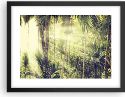 Produktbild von Gerahmtes Poster - Schwarzer Rahmen - Morgendämmerung Dschungel Palmen - 40x30 cm - Wand Bild - Wanddeko - Wandbilder - Kunstposter - Wandposter - Bilderrahmen - Bilder - Kunstdruck - P2BAA40x30-4450