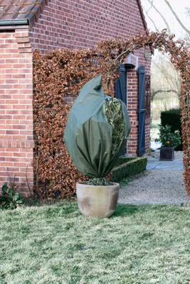 Produktbild von Nature Wintervlies 70 g/m² Grün 2,5x3 m