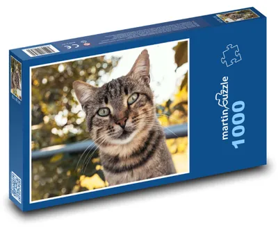 Zdjęcie produktu dla Puzzle 1000 Kot w ogrodzie - martinpuzzle