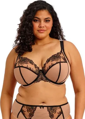 Produktbild von Elomi Teagan Bügel-BH EL302602 Schwarz - größe 95I