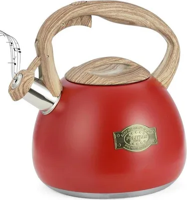 Image de Bouilloire en acier inoxydable, 2,7 l, antirouille, signal sonore, résistante à la chaleur