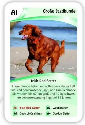 Immagine prodotto di Cani da quartetto ASS, 1 set