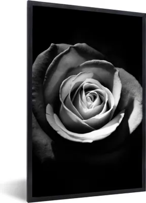 Produktbild von MuchoWow® Gerahmtes Poster Blumen - Schwarz - Rose - Weiß - Botanisch 60x90 cm - Poster mit Schwarzem Bilderrahmen Wandposter Rahmen Foto Bilder - Kunst