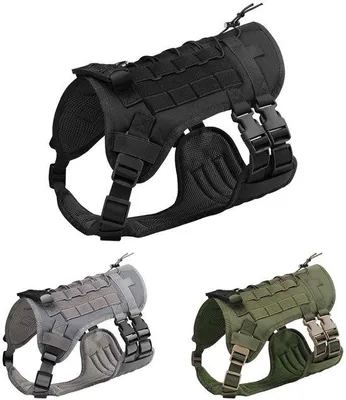 Produktbild von Militär-Grade Hundeniengewicht | Einstellbar – Dauerhaft für Ausbildung & Outdoor (Schwarz, L)