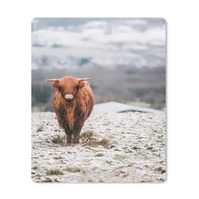 Produktbild von MuchoWow® Mauspad Mousepad Schottischer Highlander - Schnee - Berg 19x23 cm - Mousepads - Maus Mat - Pad - Mausunterlage - Mauspads - Spielen