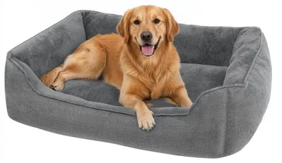 Image de Lit pour chien et lit pour chat avec bords surélevés | Gris | 100x75x25 cm