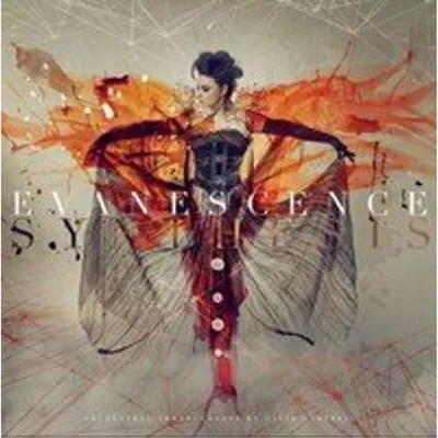 Image de Evanescence-Synthèse
