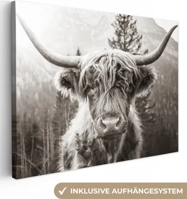Produktbild von MuchoWow® - Leinwandbilder - Schottischer Highlander - Kuh - Tiere - Schwarz - Weiß, Wandbild, Wanddeko Bilder Wohnzimmer, 80x60 cm