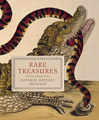 Produktbild von Rare Treasures